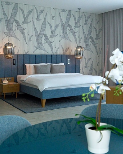 Deluxe Double room with balcony