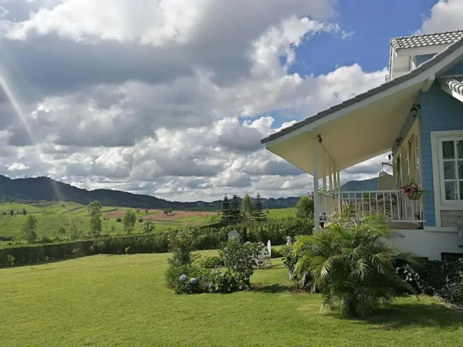 Deluxe Bungalow