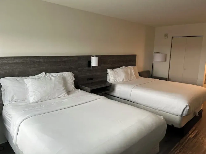 Quadruple Suite