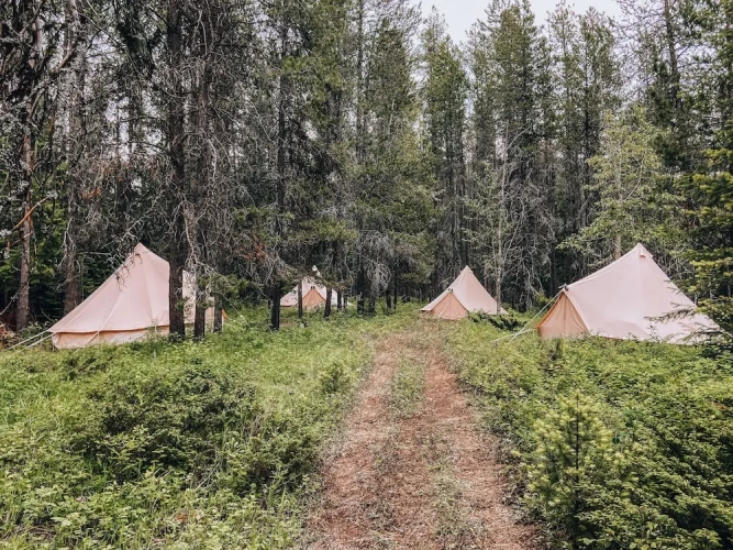Tent