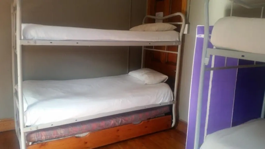 Bed in Dorm