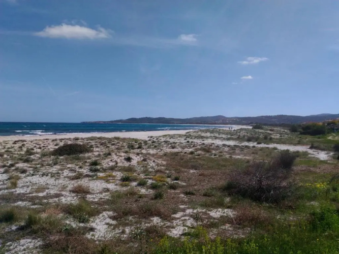 Appartamento La Caletta 500m dal mare
