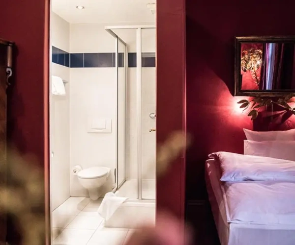 Deluxe Single room