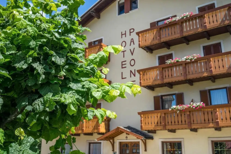 Image de l'hôtel