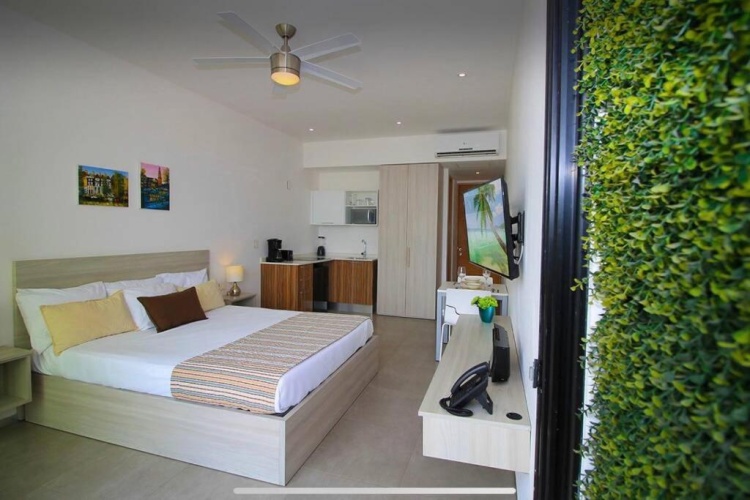 1 Bedroom Apartment