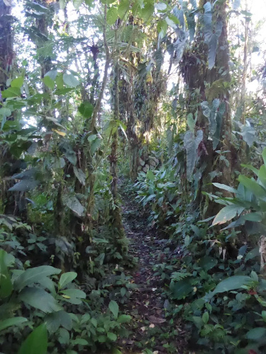 Santa Lucia Ecolodge