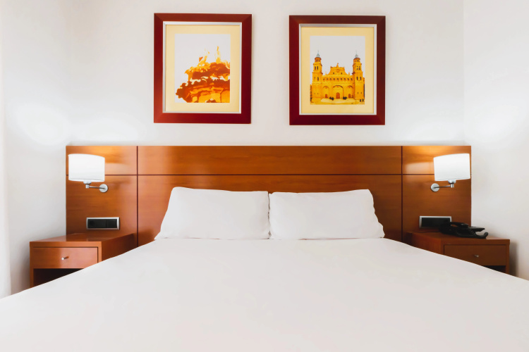 Hotel Palacios