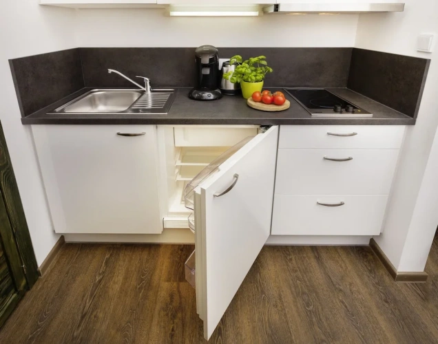 Comfort Single Apartment