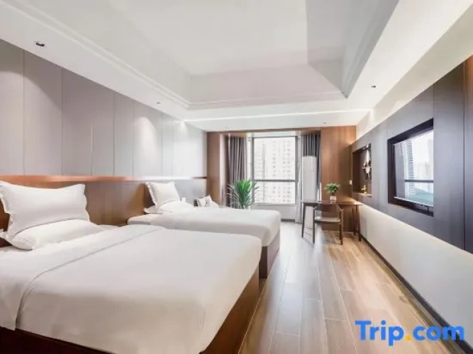Standard Twin Family room