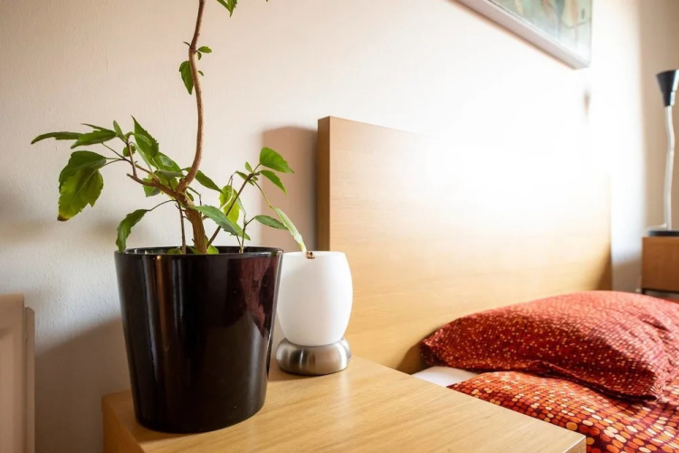 Comfortable Apartment Next To Holyrood Park