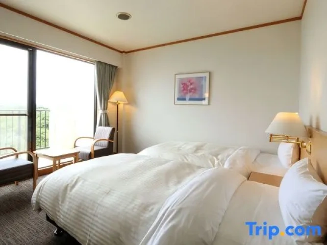 Standard Twin room with mountain view