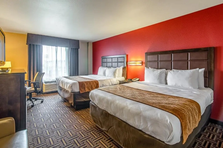 Double Suite