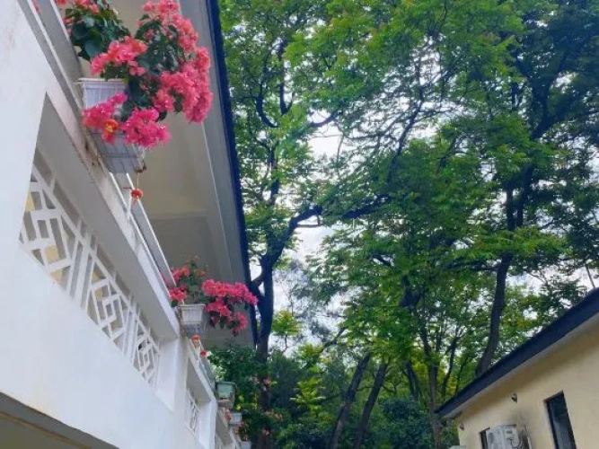 Outside
