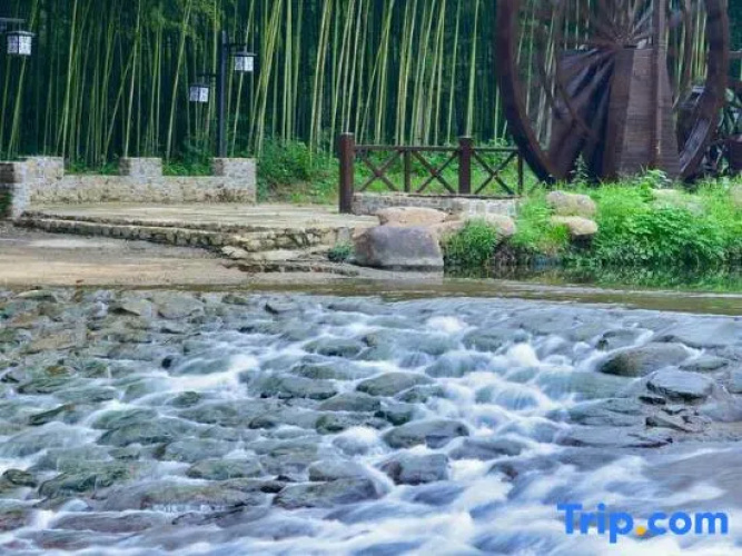 Tingxi