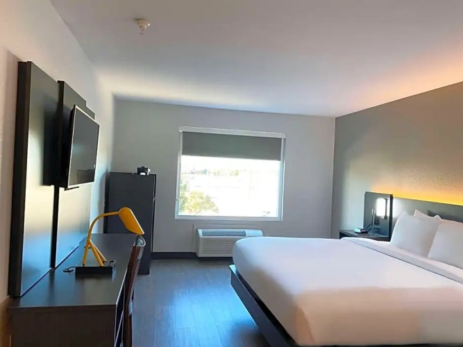 1 Bedroom Double Suite