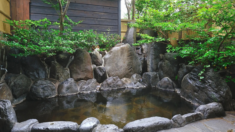 Yufuin Onsen Besso Furusato