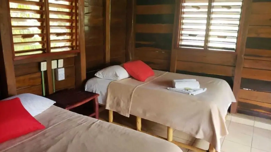 Standard Double room with lake view