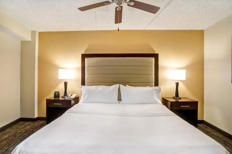 1 Bedroom Premium Double Suite