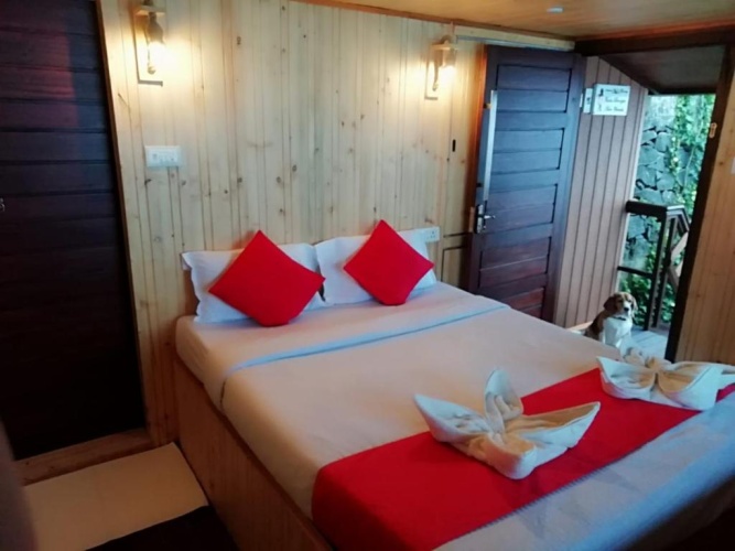 Deluxe Double room with balcony