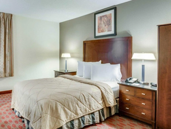 1 Bedroom Standard Double room