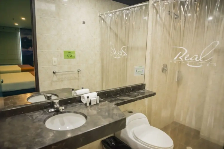 Business Double room with city view