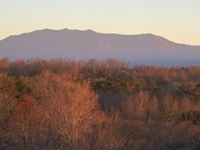 Mountain View Condo 3702