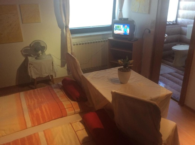 Standard Double room with balcony and with view