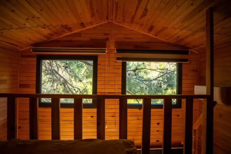 Reflections Camp