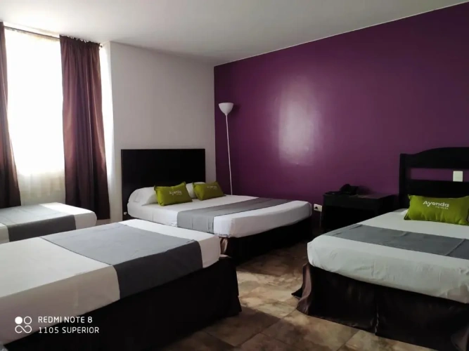 Standard Triple room