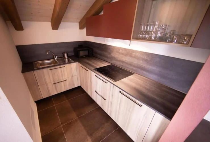 Deluxe Single Apartment
