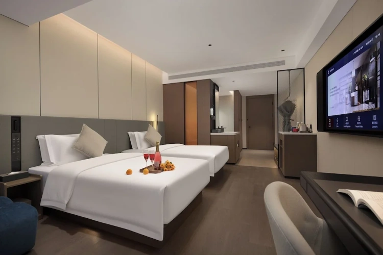Superior Twin room with city view