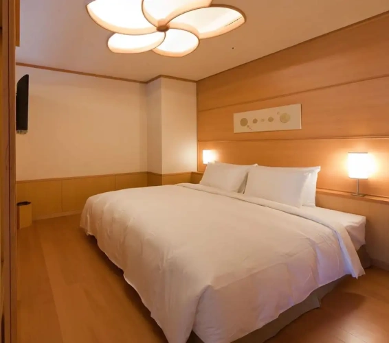 Deluxe Double Suite with park view