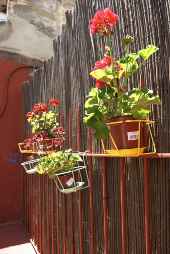 Tarragona Hostel