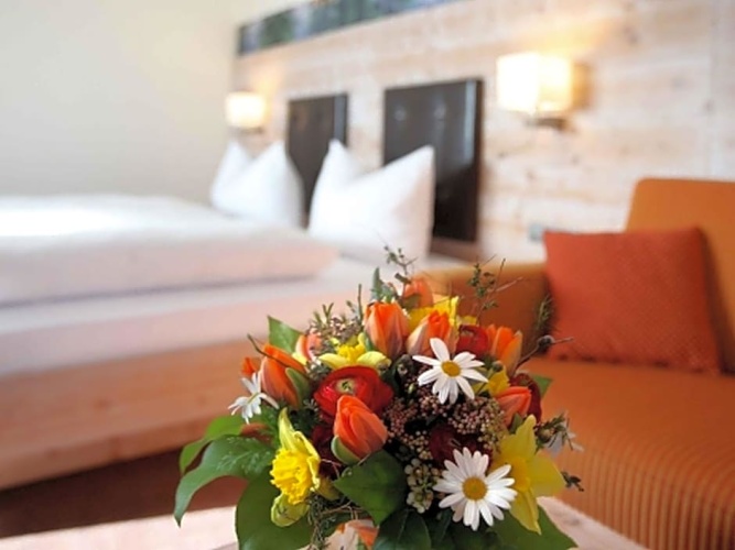 Standard Double room with balcony and with view