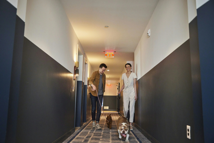 The Junto photo 25