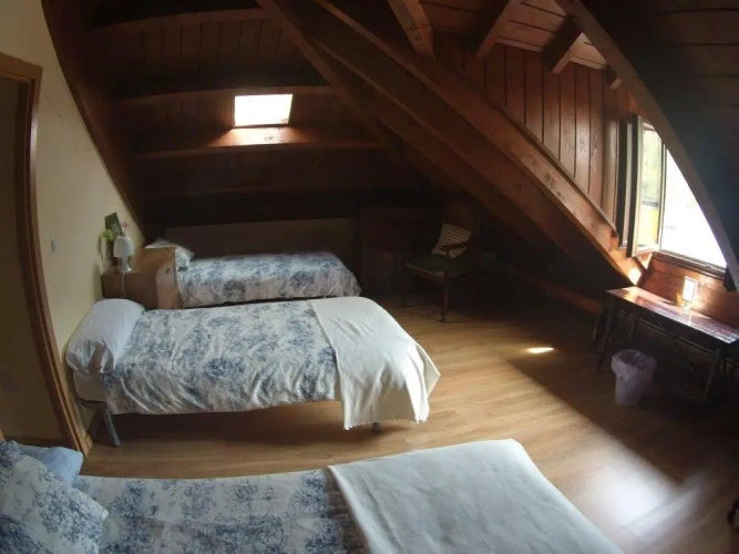 Bed in Dorm