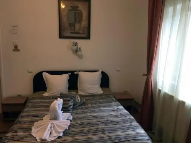 Pensiunea Vila Gabriel