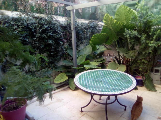 Standard Double room with view