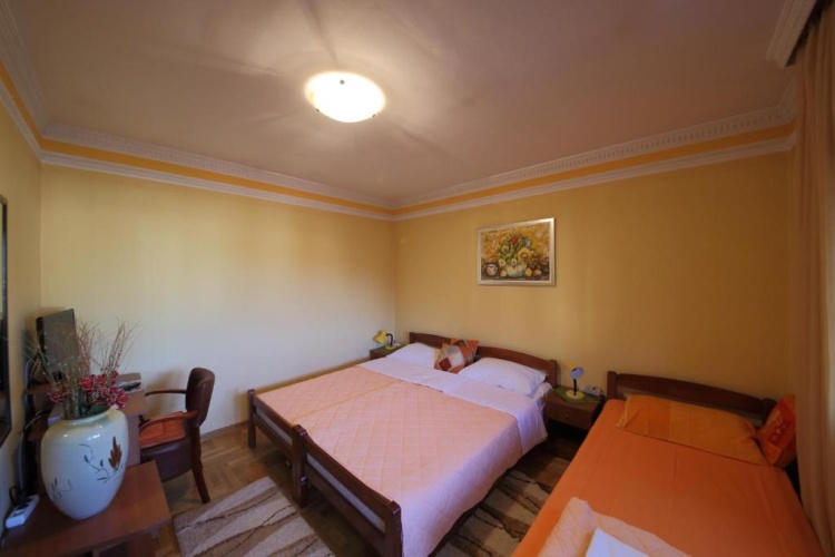 Standard Twin room with balcony and with view