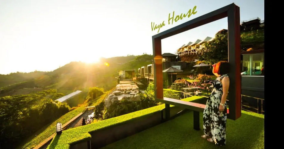 Vaya House