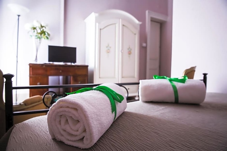 Standard Double room with balcony and with view