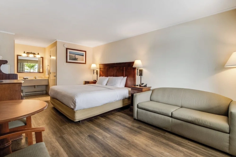 Deluxe Double room with pool view