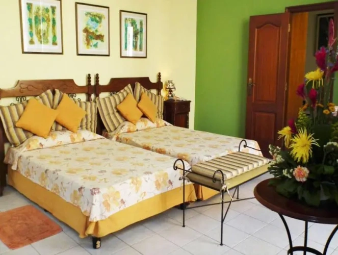 Standard Single room