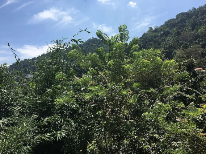 kandy home stay villa