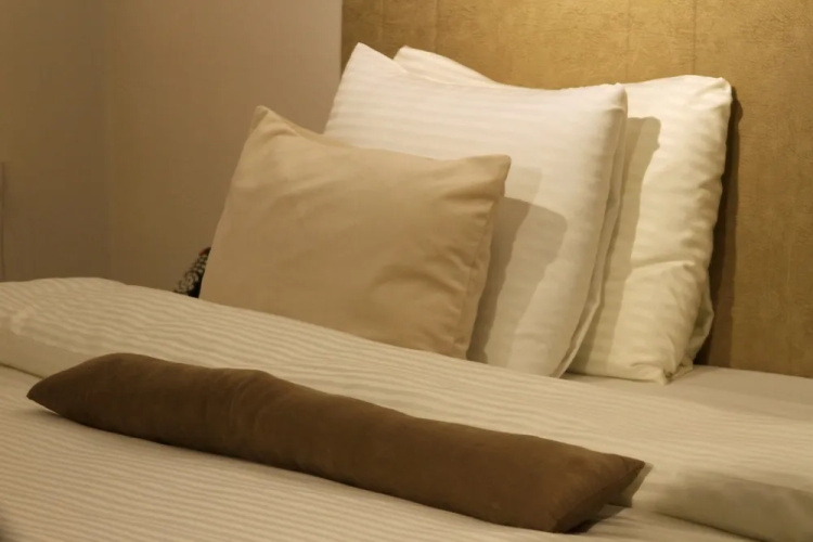 Hotel Driada