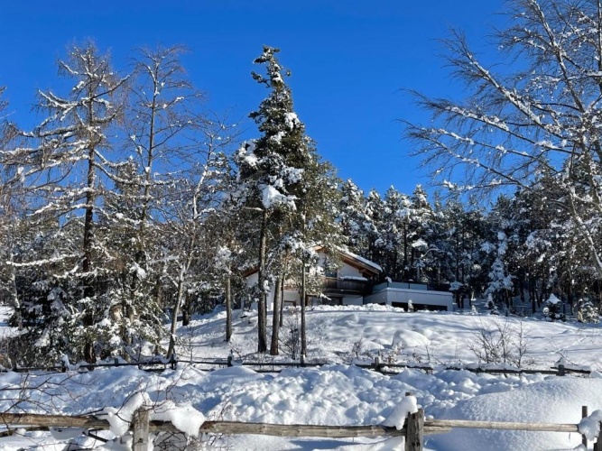 Cottage