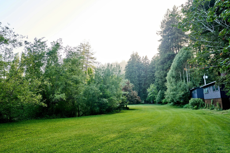 Dawn Ranch Lodge photo 20