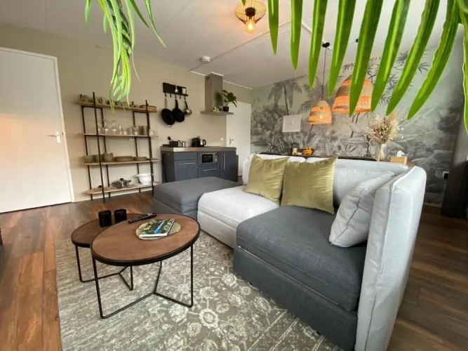 Deluxe Apartment