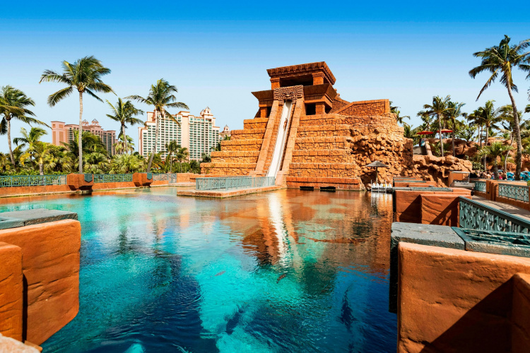 The Coral at Atlantis photo 17