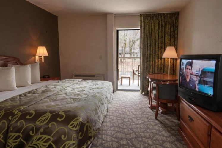 Standard Double room with balcony and with view
